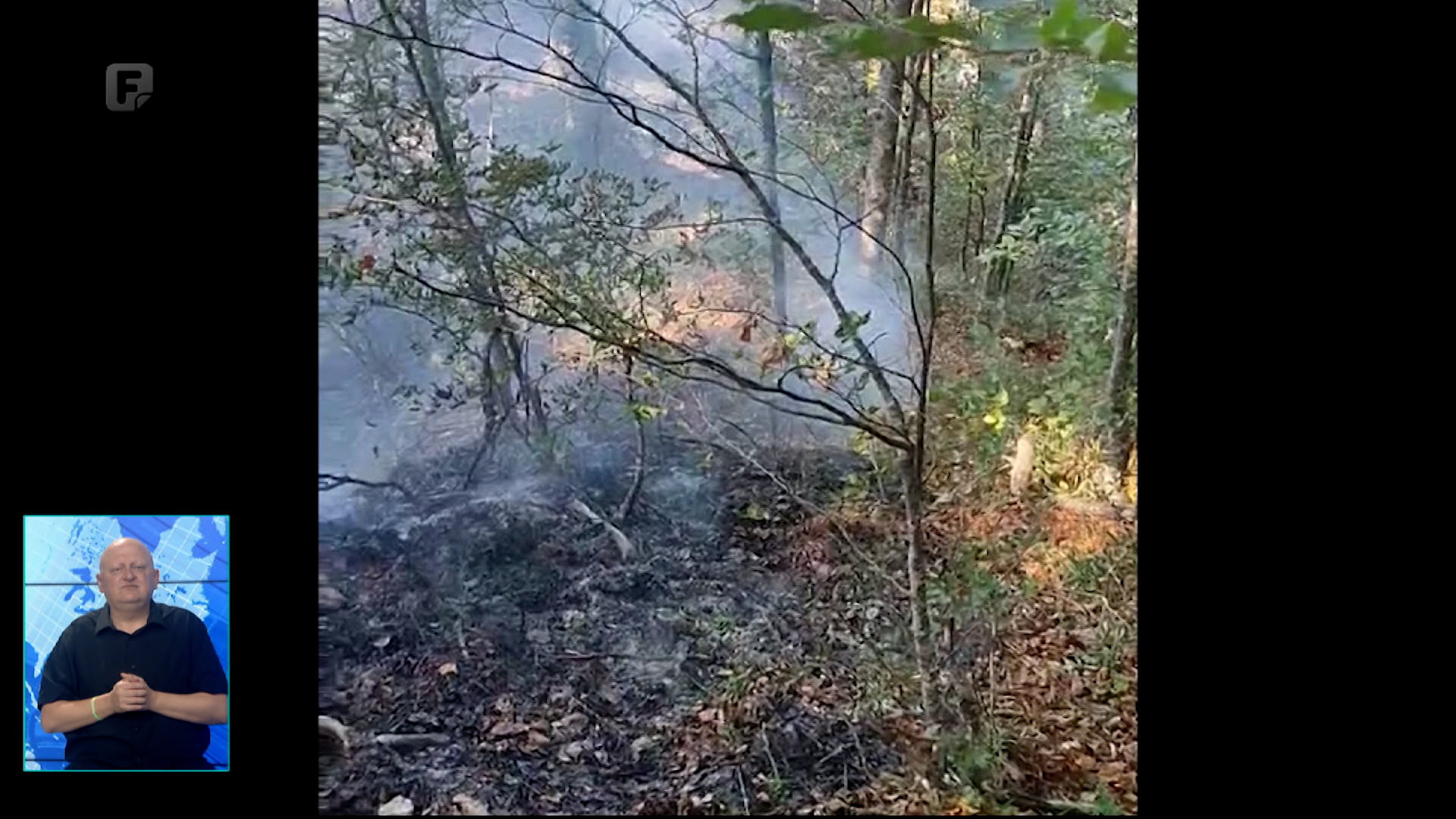 Vatra u Nacionalnom parku Drina Srebrenica prijeti Pančićevoj omorici